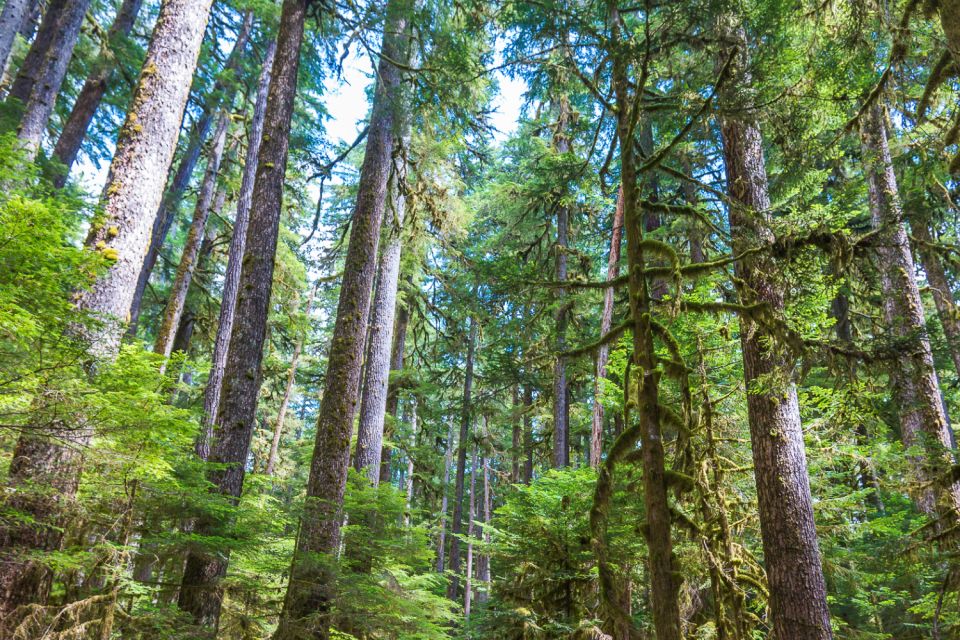 Seattle And Olympic NP Self-Guided Audio Bundle Tour - Frequently Asked Questions