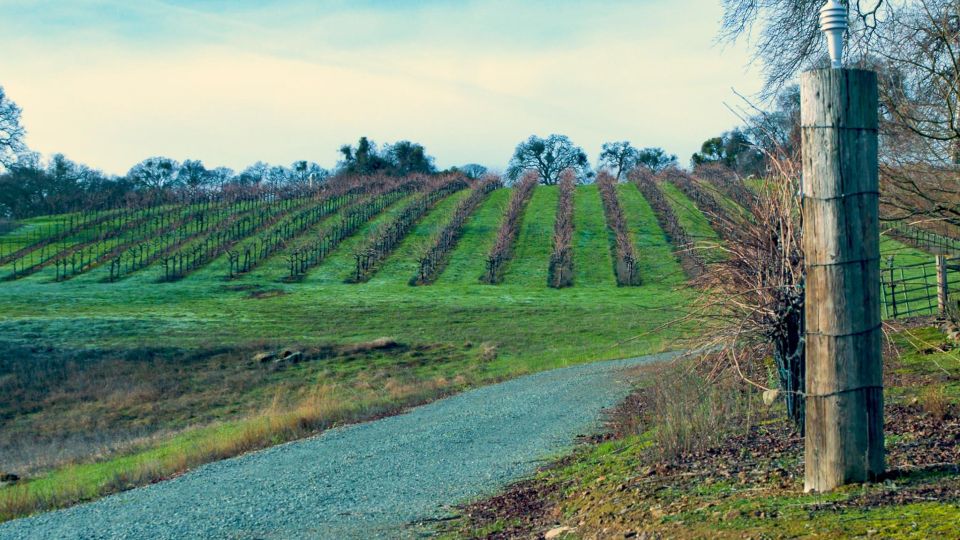 Self-Guided Wine Tasting Audio Tour - Amador County CA - Frequently Asked Questions