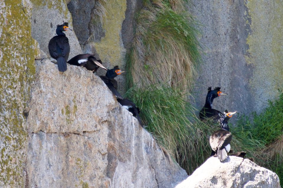 Seward: Kenai Fjords National Park Extended Cruise - Frequently Asked Questions