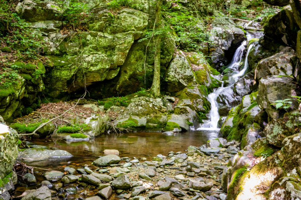 Shenandoah National Park: Self-Driving Audio Guide - Recap