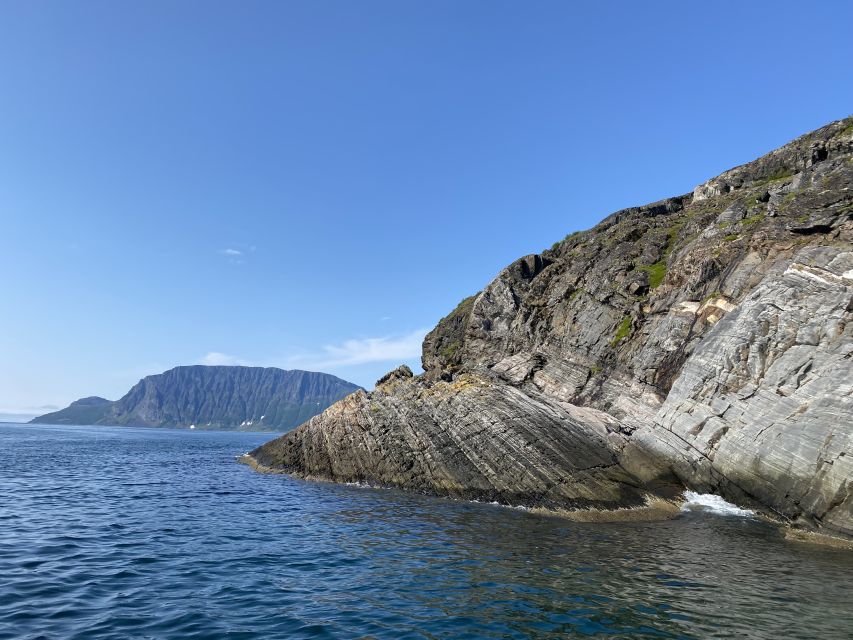 Skjervøy: Birds and Wildlife of Arctic Norway - Frequently Asked Questions