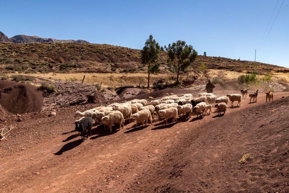 Sucre: 3 Days Trek in Inca Trails and the Crater De Maragua - Frequently Asked Questions