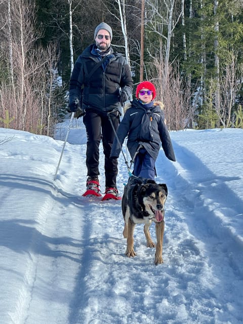 Swedish Lapland : Sled Dog and Reindeer Farm With the Family - Frequently Asked Questions
