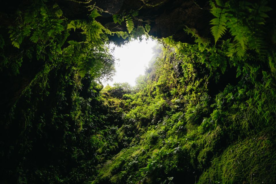 Terceira: Algar Do Carvão Lava Caves Tour - Frequently Asked Questions