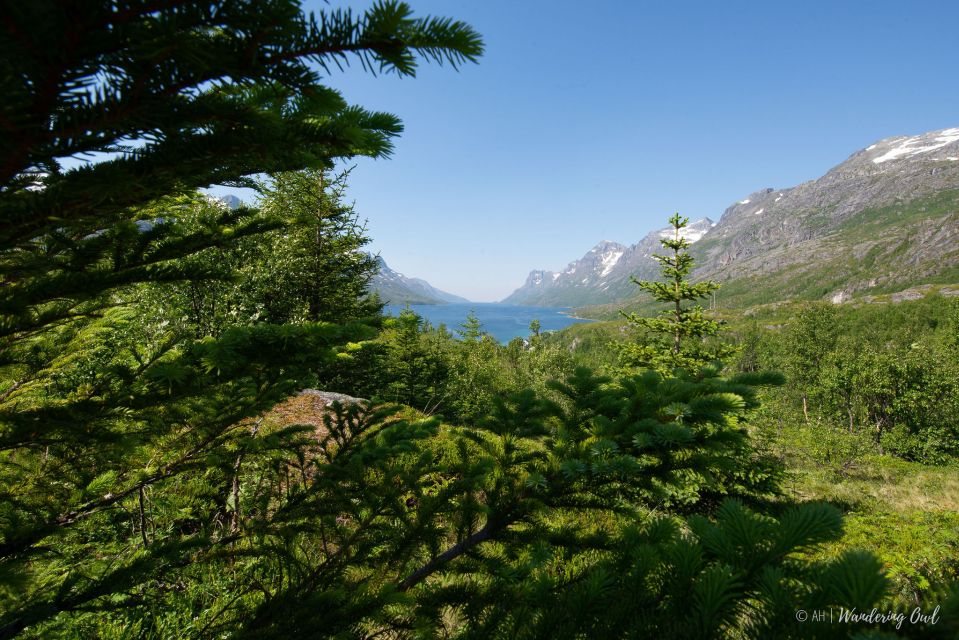 Tromsø: Arctic Landscapes Sightseeing With Citizen Science - Frequently Asked Questions