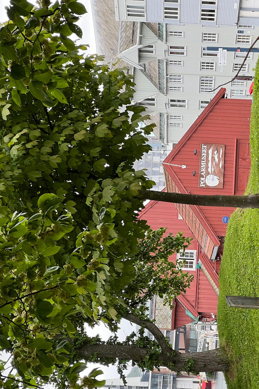 TROMSØ: Explore The City And a Guided Tour Of PolarMuseum! - Frequently Asked Questions