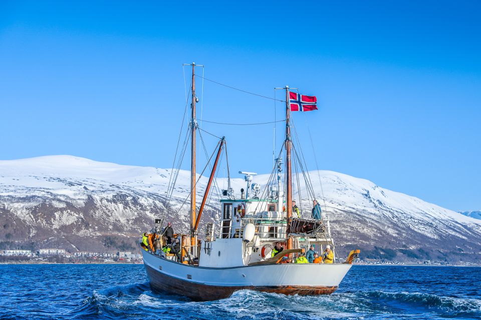 Tromsø: Fjord & History Cruise - Frequently Asked Questions