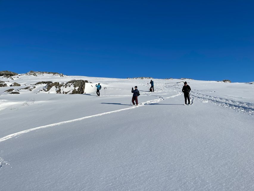 Tromso: Scenic & Eco-Friendly Snowshoeing Tour - Frequently Asked Questions