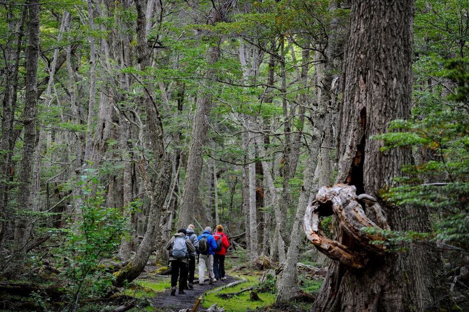 Ushuaia: Tierra Del Fuego National Park Tour With Lunch - Frequently Asked Questions