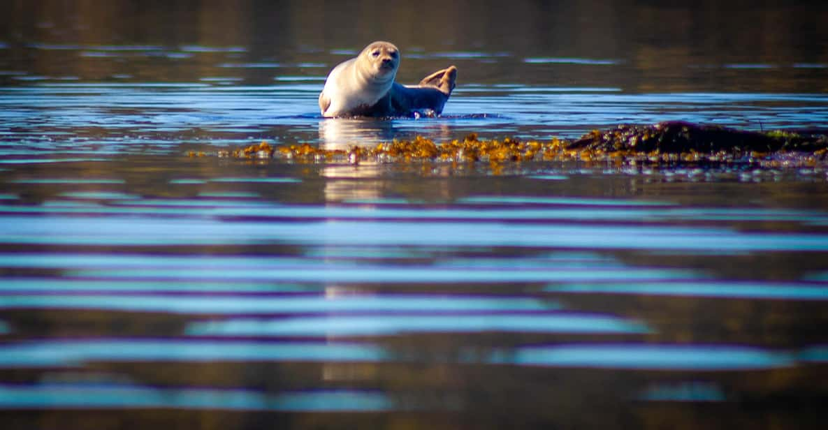 West Sweden: Paddle With Seals - Frequently Asked Questions