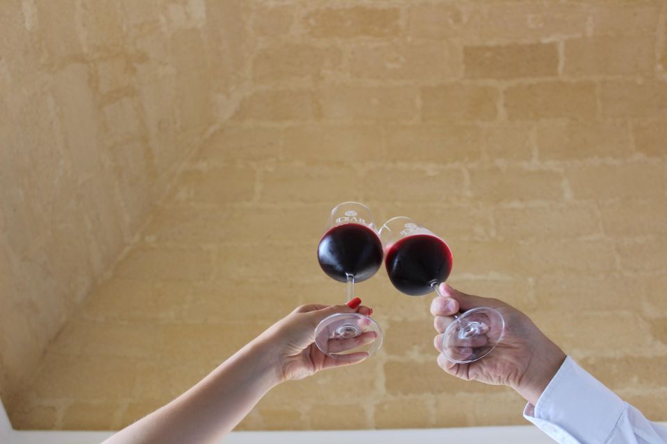 Winery Tour and Tasting of Sicilian Organic Wines in Marsala - Recap