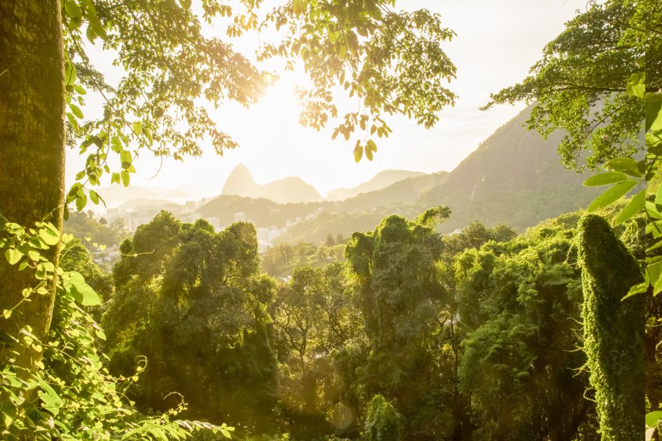 Wonders of Rio: Christ, Selaron Steps, and Tijuca Forest - Frequently Asked Questions