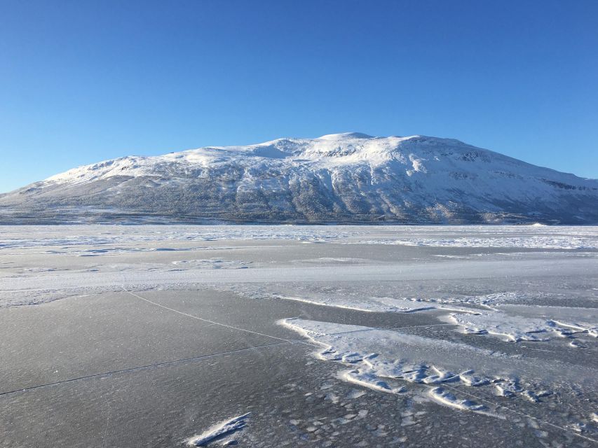 Abisko: Lake Torneträsk Arctic Ice Fishing Trip - Key Points