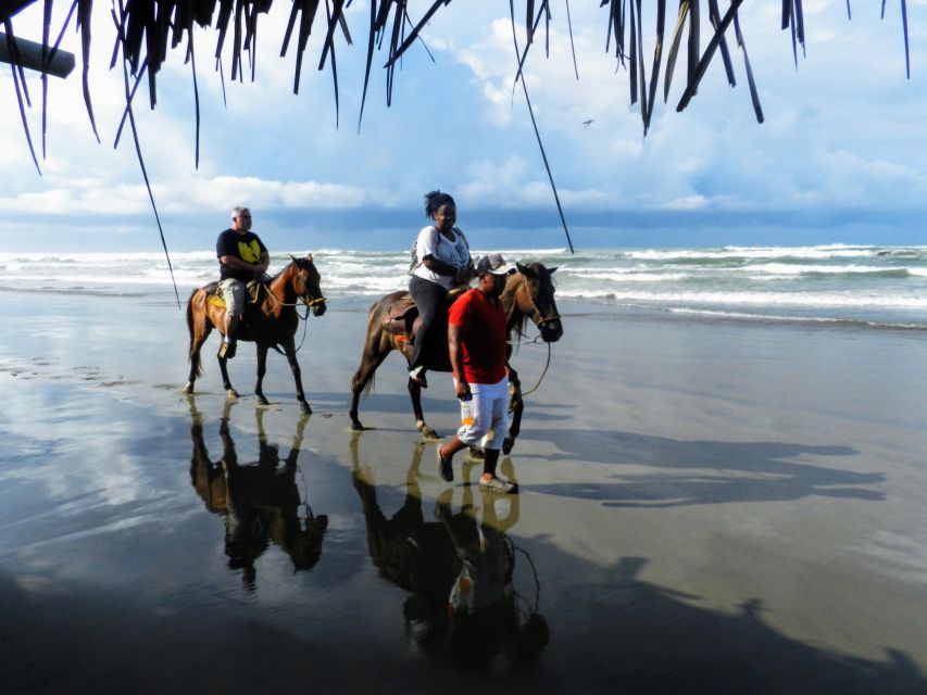 Acapulco: Gentle Beach Horse Riding Tour on Barra Vieja - Key Points