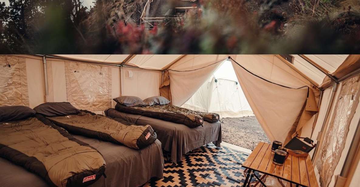 Acatenango Volcano Tour: 1 Night in Glamping - Key Points