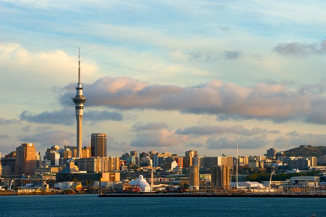 Airport Transfer: Auckland Airport AKL to Auckland by Sedan Car - Key Points