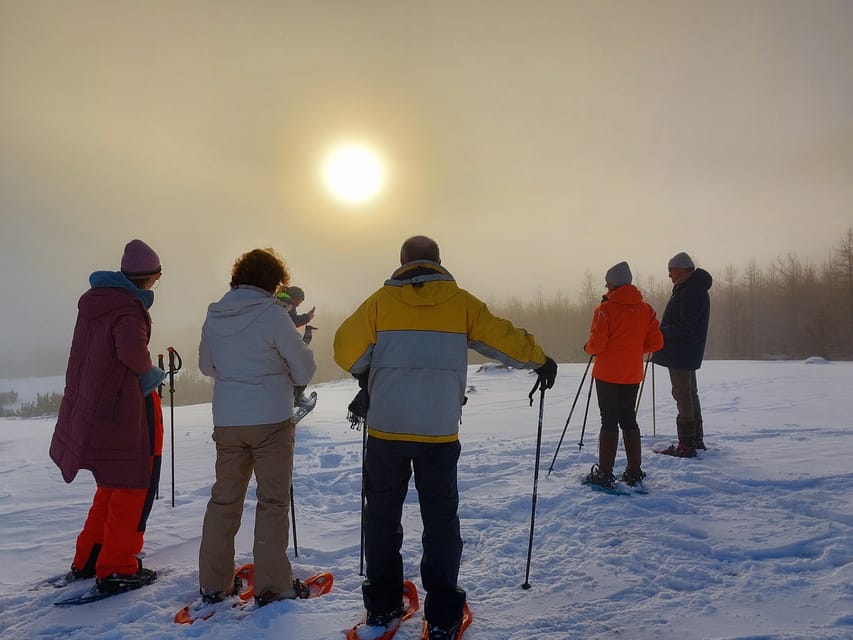 Akureyri: Snowshoeing With the Traveling Viking - Key Points