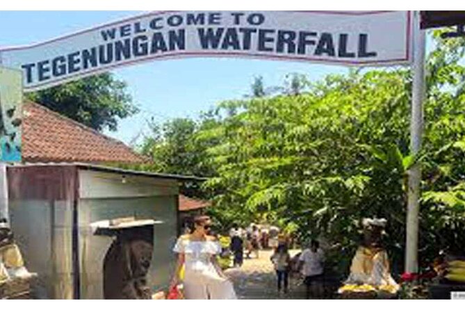 All Ticket Inclusive-Blue Lagoon Snorkeling-Ubud Monkey Forest & Ubud Waterfall - Tour Highlights