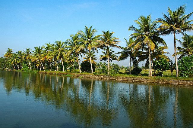 Alleppey / Alappuzha Backwater Canoe (Shikara) Cruise - Key Points