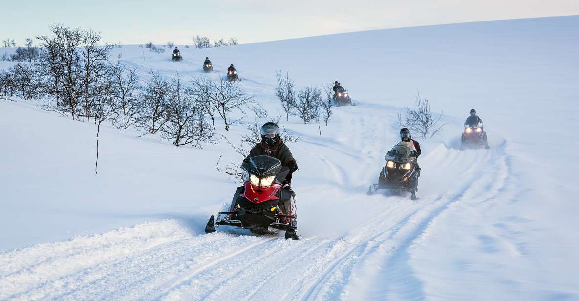 Alta: Guided Snowmobile Safari on Finnmarksvidda With Snacks - Good To Know