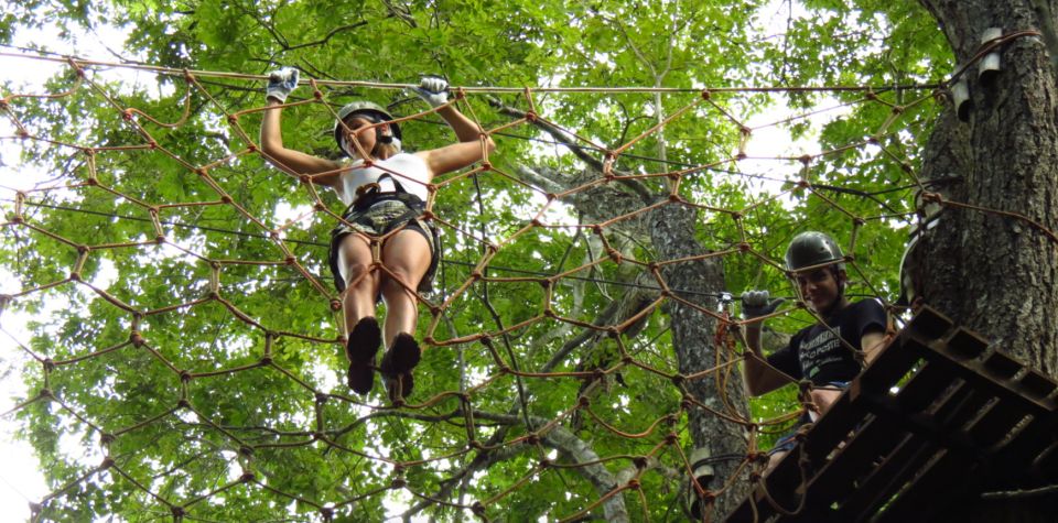 Amazon Jungle 3-Hour Tree Climbing Activity - Key Points