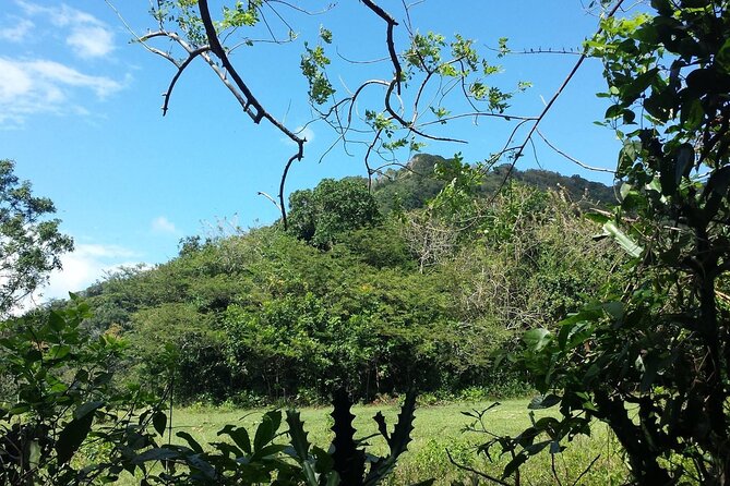 Amber Cove and Taino Bay Cruise Ship – 12 Waterfalls