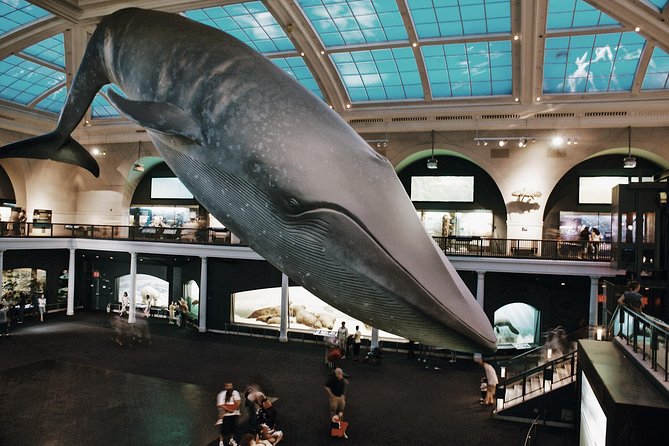 American Museum of Natural History - Exclusive Guided Tour - Key Points