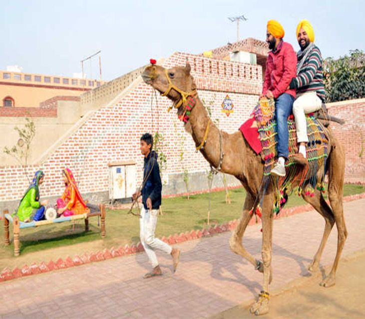 Amritsar: Evening Tour to Sadda Pind With Dinner - Key Points