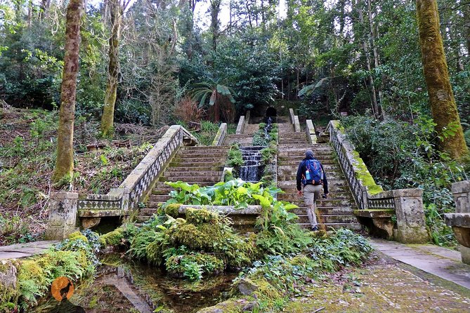 An Adventure Through the Forest and Palace of Bussaco - Coimbra - Good To Know