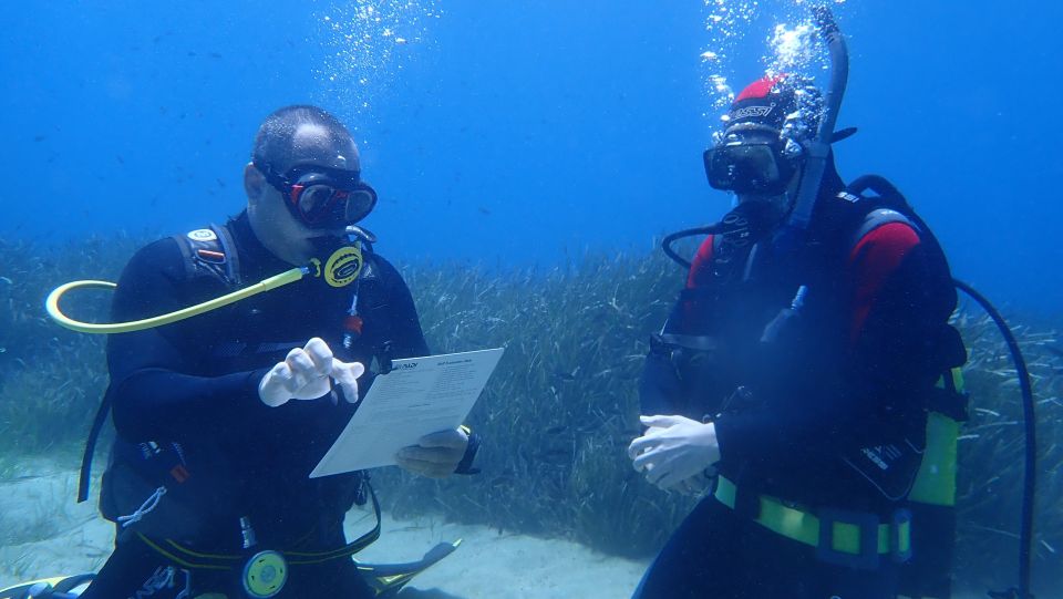 Andros: Get Your Padi Open Water Certificate! - Key Points