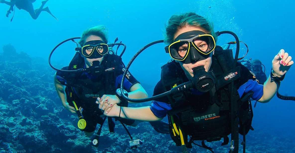 Antalya/Kemer: 2 Dives Scuba Diving Trip With Lunch - Key Points