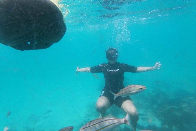Antilla Shipwreck Seabob Tour - Tour Overview
