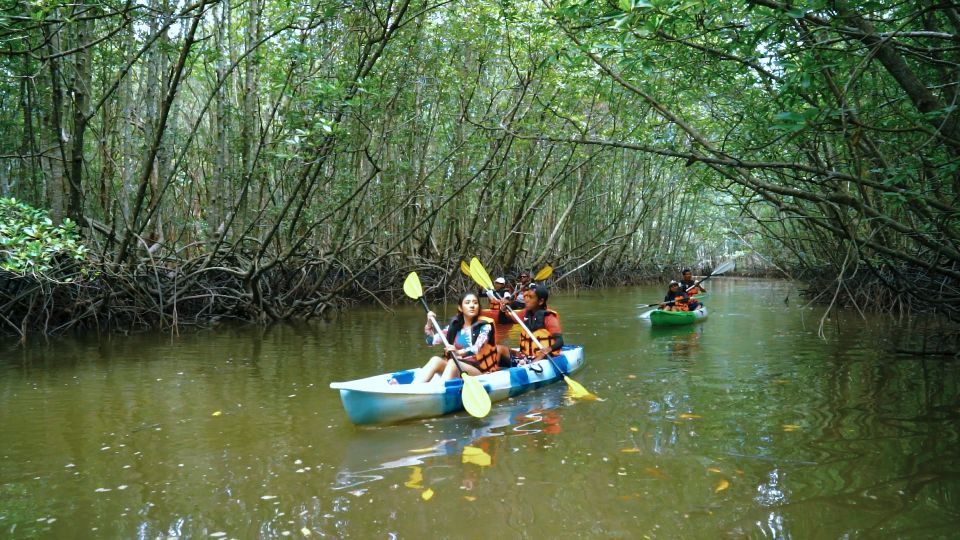 Ao Nang: Kayak Tour in Krabi Mangrove Forest With Lunch - Key Points