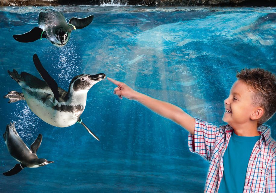 Aquarium of Cattolica Entry Ticket - Key Points
