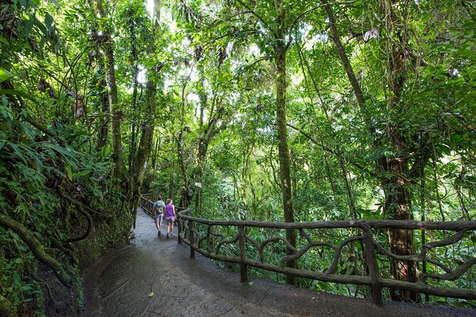 Arenal Hanging Bridges, Guided Walk, Hot Springs Optional - Unique Experience Highlights