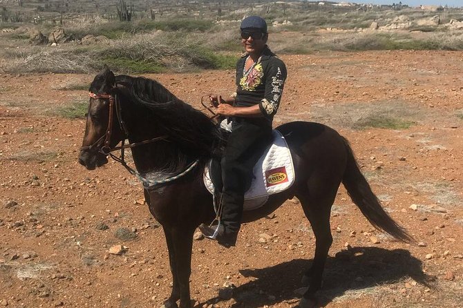 Aruba Horseback Riding Tour For Advanced Riders - Scenic Highlights