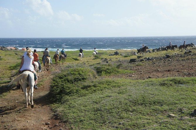 Aruba Horseback Riding Tour to Hidden Lagoon - Key Points