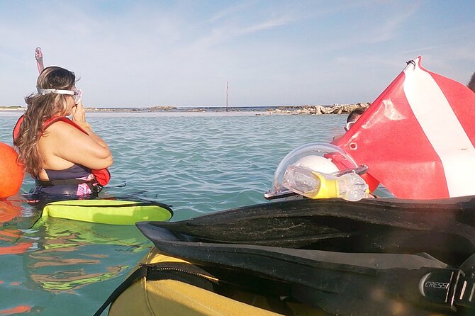 Aruba Snorkeling Tour: Mangel Halto and Baby Beach - Overview of the Tour