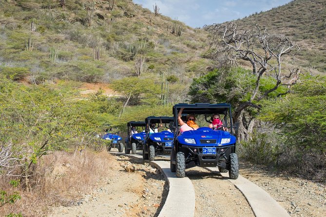 Aruba UTV Adventure Afternoon Tour - Tour Highlights