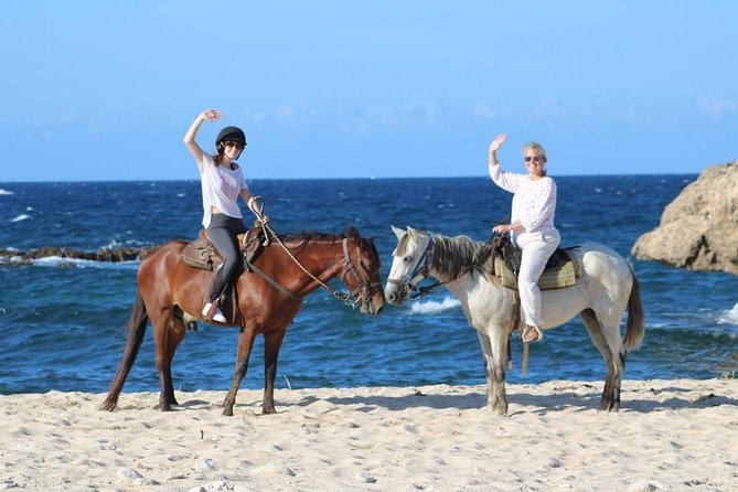 Arubas Northern Coast Horseback Adventure - Overview of the Adventure