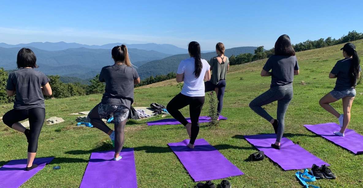 Asheville: Yoga on a Mountain Hike - Key Points