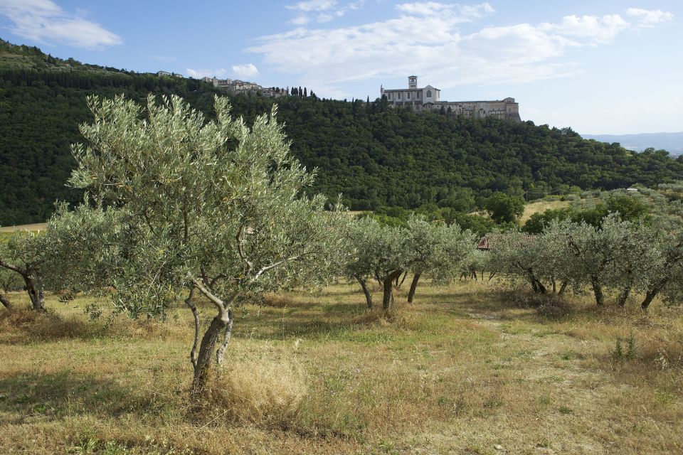 Assisi: Bosco Di San Francesco Entry Ticket - Key Points