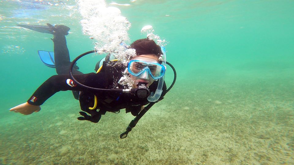 Athens East Coast: Padi Open Water Diver Course in Nea Makri - Key Points