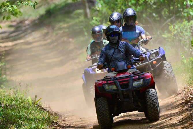 ATV River, Beach, Jungle Adventure and Crocodiles Hotspot From San Jose - Key Points