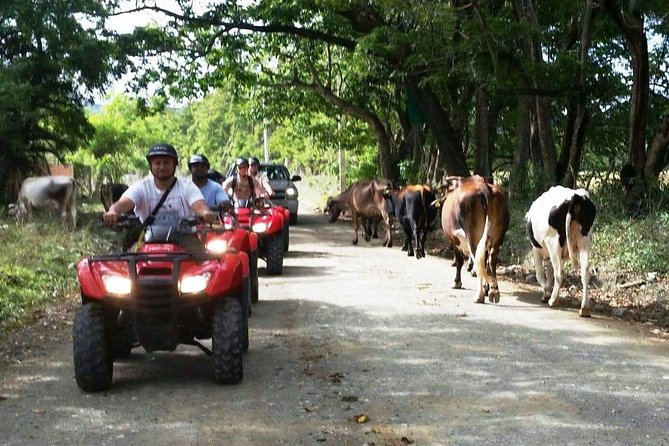 ATVS Fun Tour From Amber Cove or Taino Bay - Transportation and Meeting Points