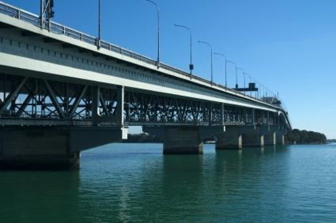Auckland City & Native Forest Experience - Fully Guided Day Tour - Key Points
