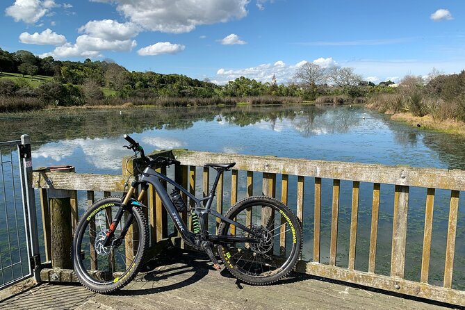 Auckland Half Day E-Bike Excursion - Key Points