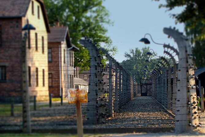 Auschwitz & Birkenau Live Guide Tour Entrance Ticket - Key Points