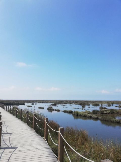 Aveiro: City of Canals Bike Tour - Key Points