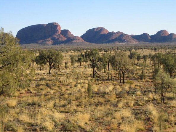 Ayers Rock Day Trip From Alice Springs Including BBQ Dinner